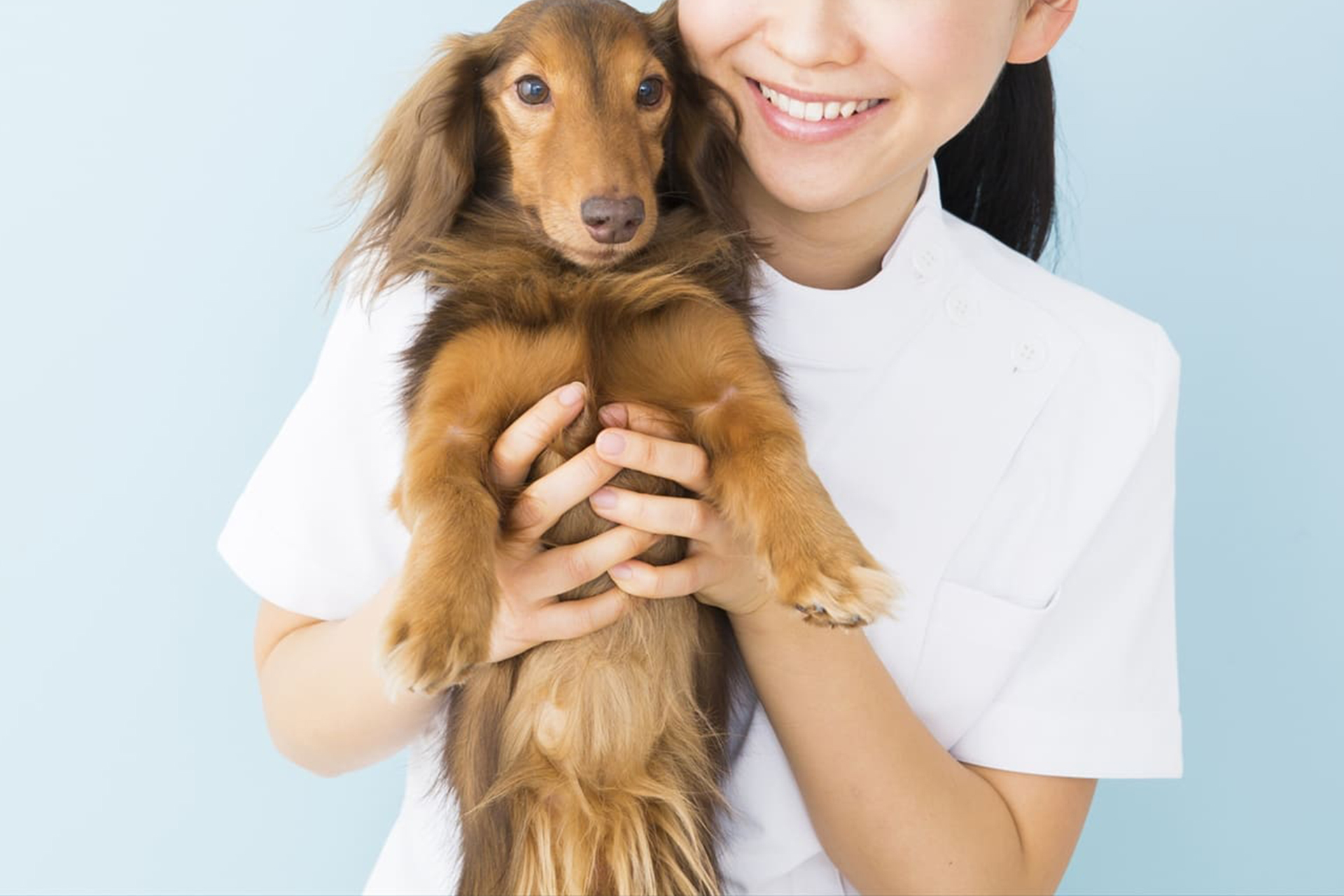 皮膚ケアも実施 | 岡山県倉敷のトリミングならDOG SALON リロア