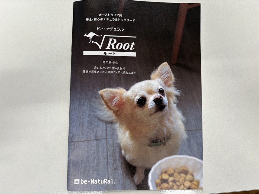 アレルギー、涙やけなら｜岡山県倉敷のトリミングサロンならDOG SALON リロア