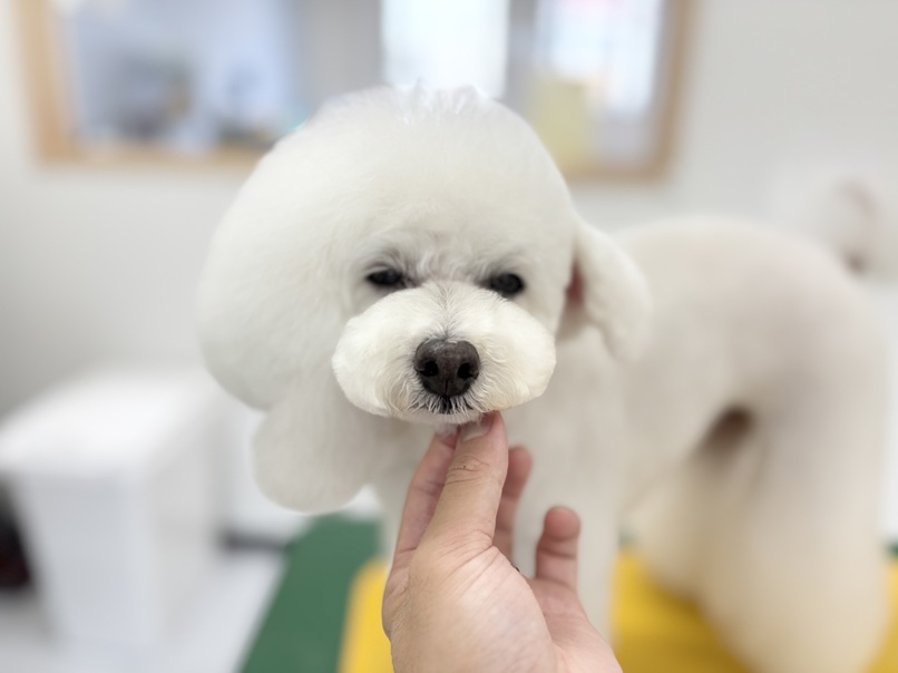 美容室25
