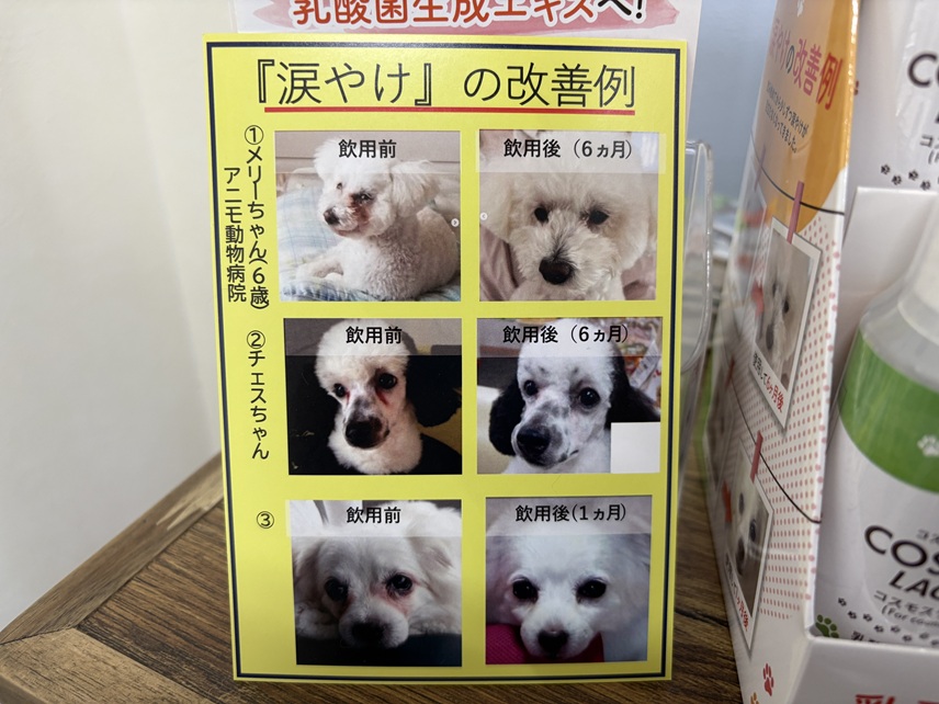 建築事務所8
