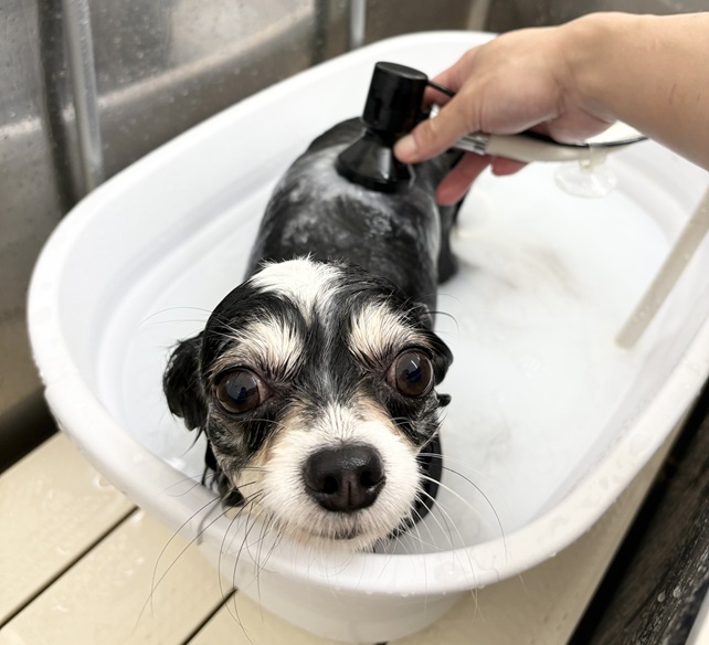 AdobeStock_267069464